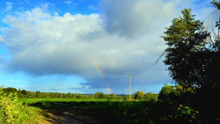 Home-building in Tanzania